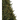 Pre-Lit LED Balsam Fir Christmas Tree